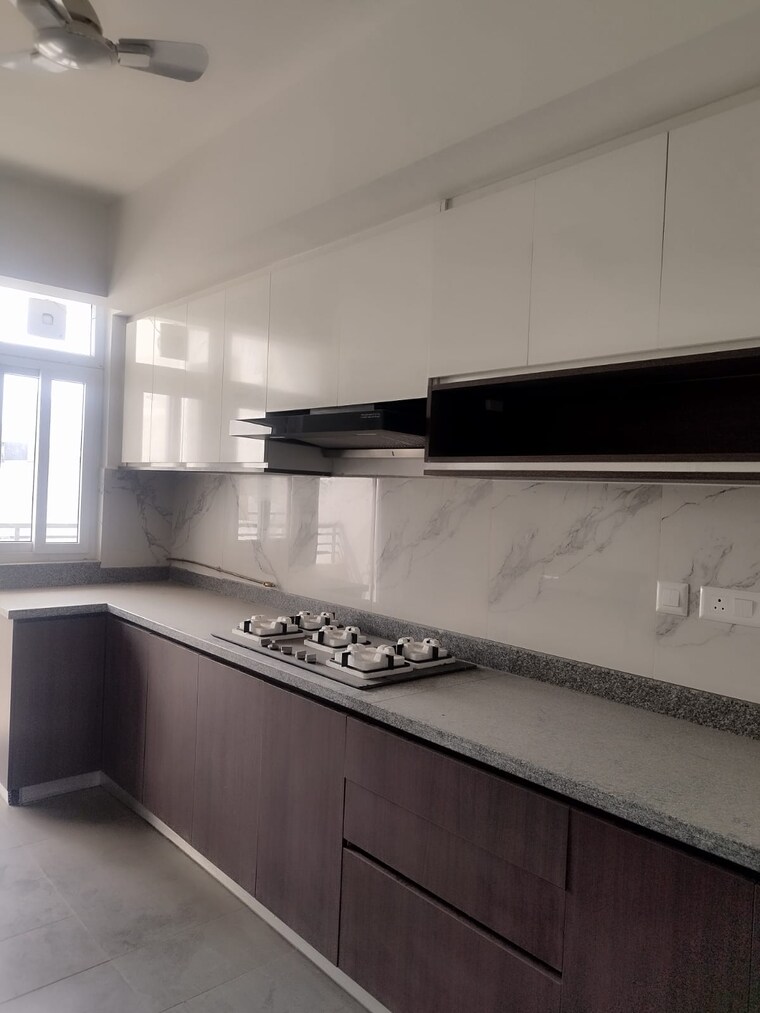 Kitchen, dlf-alameda-independent-floors 5 Bedroom 4500 Sq.Ft. Builder Floor In Sector 73 Gurgaon 10198407