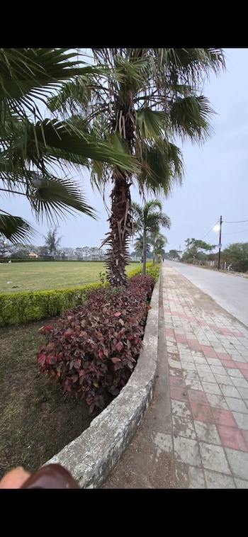 Plot for Sale in Ab Bypass Road, Indore