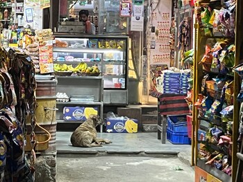 Shop for Sale in Mayur Vihar, Delhi
