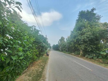 Plot for Sale in Ramnagar, Nainital