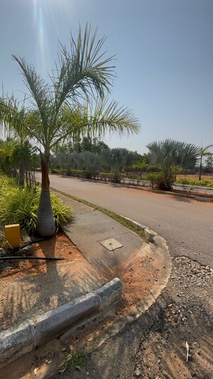  Plot – Exterior View View at Hayathnagar - for Sale