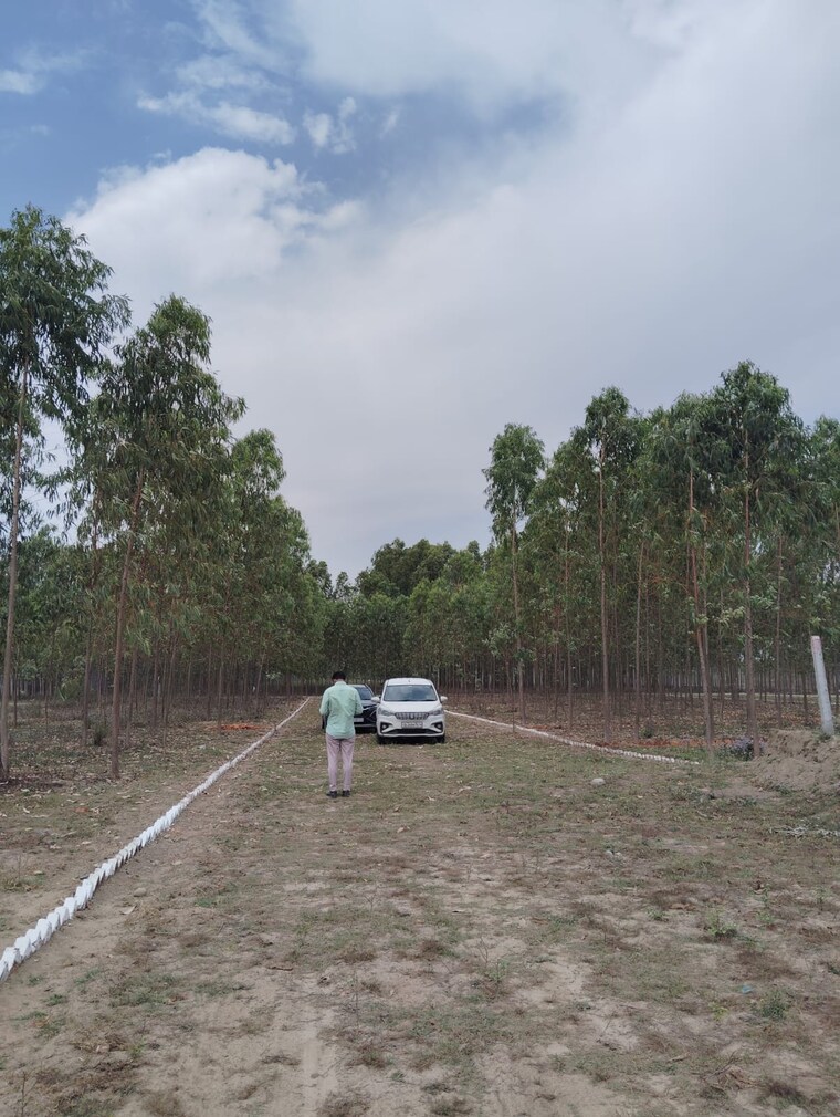 undefined, saharanpur road  1000 Sq.Ft. Plot In Saharanpur Road Dehradun 10222175