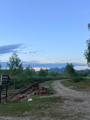 Plot Area in  Plot at Saharanpur Road – for Sale