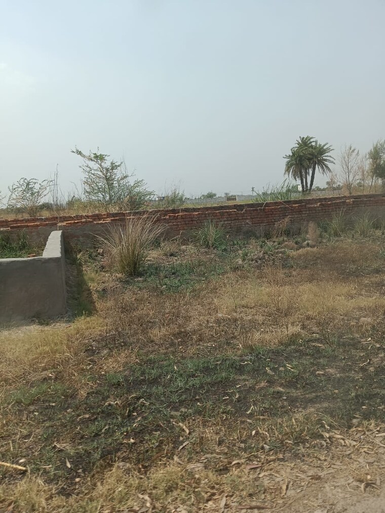 undefined, sector 6  1305 Sq.Ft. Plot In SectoR 6 Jhajjar 10225893