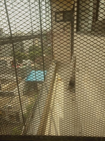 2 BHK Builder Floor for Rent in Palam Vihar, Gurgaon