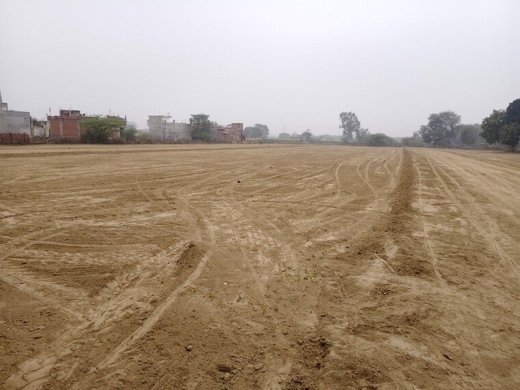 undefined, jankipuram extension  1000 Sq.Ft. Plot In Jankipuram Extension Lucknow 10264459