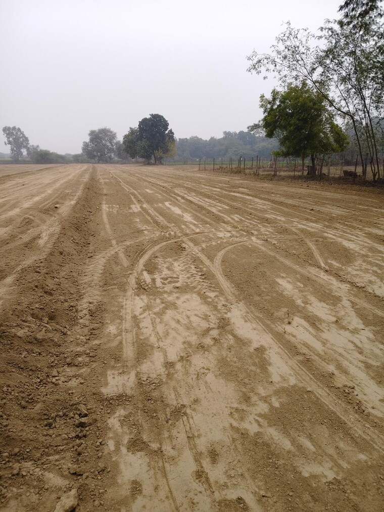 undefined, jankipuram extension  1000 Sq.Ft. Plot In Jankipuram Extension Lucknow 10264459