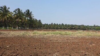 Land for Sale in Neelambur, Coimbatore