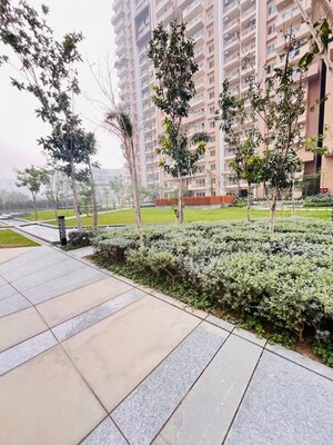 3 BHK Apartment – Exterior View View at ABA Ivy County, Sector 75 - for Rent