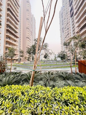 3 BHK Apartment – Exterior View View at ABA Ivy County, Sector 75 - for Rent