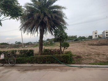 Plot for Sale in Mullanpur, Mohali