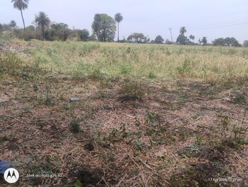 Plot for Sale in RaU-Dewas Bypass, Indore