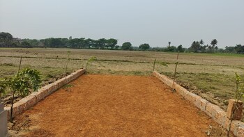 Plot for Sale in Devanahalli, Bangalore