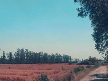 Plot for Sale in Ramnagar, Nainital