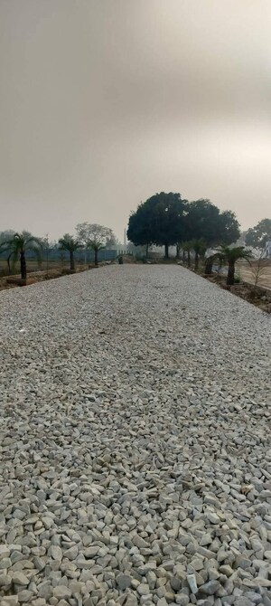 Plot Area in  Plot at Gosainganj – for Sale