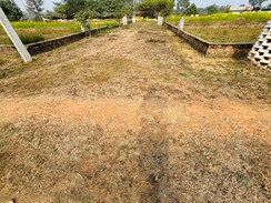 Plot For Sale in Babatpur