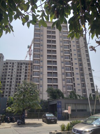 Goyal Orchid Salisbury