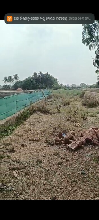 Plot for Sale in Trisulia, Cuttack