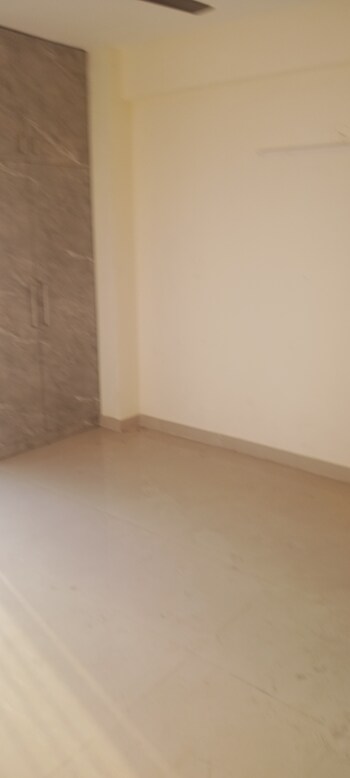 GLS Avenue 81