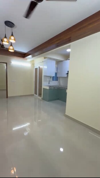 GLS Avenue 81