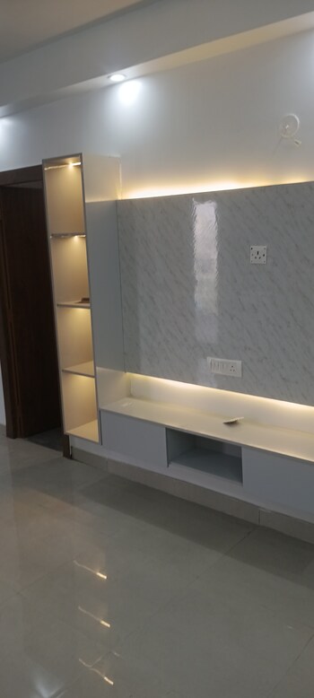 GLS Avenue 81