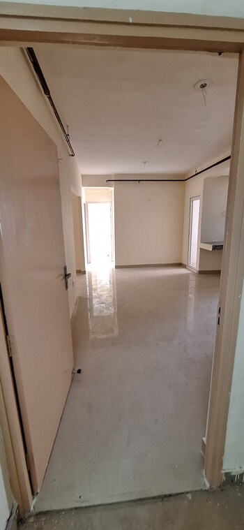 GLS Avenue 81
