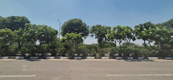 Plot for Sale in Mullanpur, Mohali