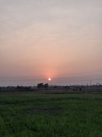 Plot for Sale in Adajan, Surat