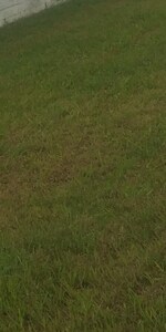 625 Sq.Yd. Plot in Barewal Awana