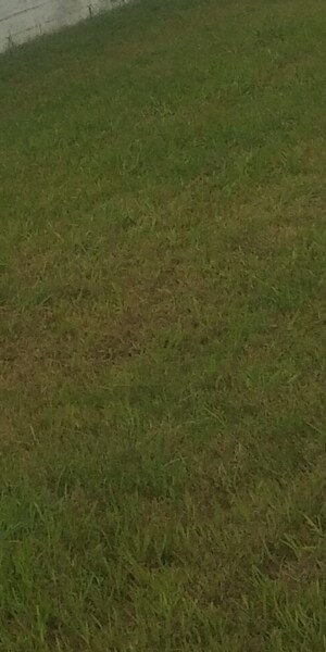  Plot For Sale in Barewal Awana