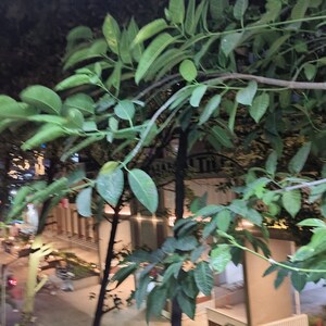 Studio Apartment – Garden View at Kharadi - for Rent
