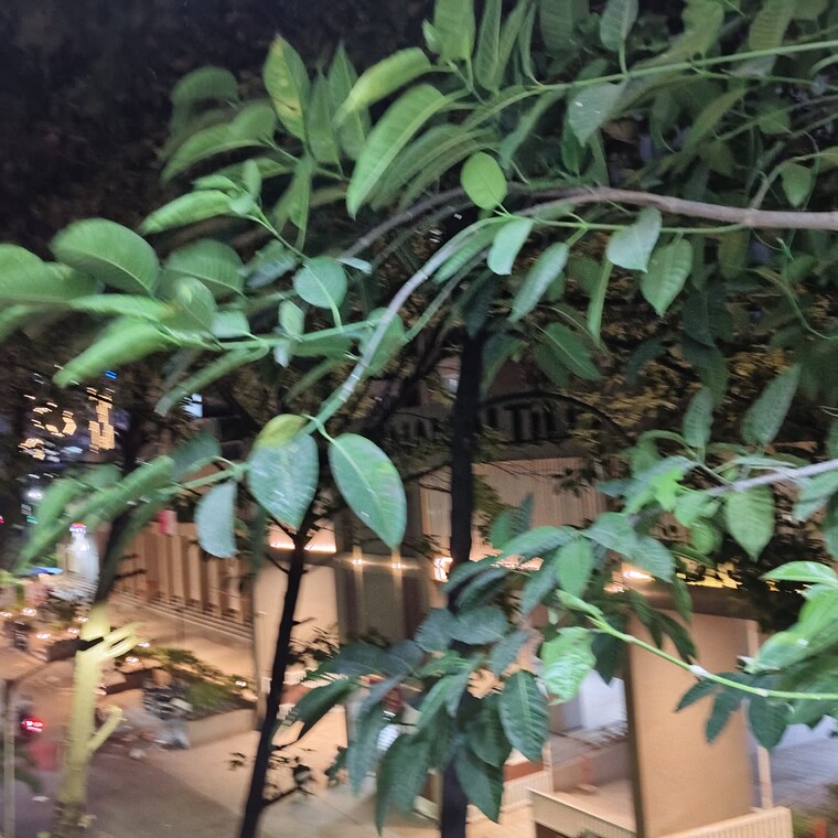 Garden, camp Studio 250 Sq.Ft. Apartment In Camp Pune 10357560
