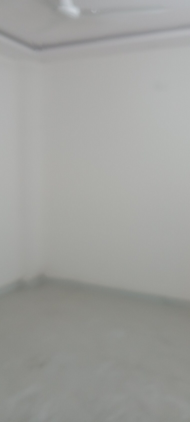 Room, dwarka 4 Bedroom 135 Sq.Yd. Builder Floor In Dwarka Delhi 10357573