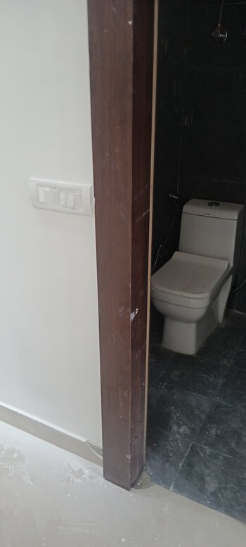 GLS Avenue 81