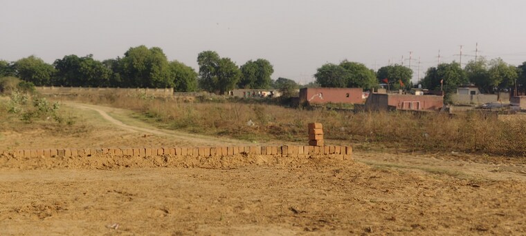 undefined, apex-court  100 Sq.Yd. Plot In Sector 12 Greater Noida Greater Noida 10360190