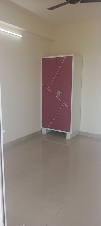 GLS Avenue 81