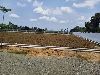 Plot for Sale in Chelluru, Vizianagaram