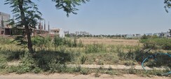 Plot For Sale in Mullanpur