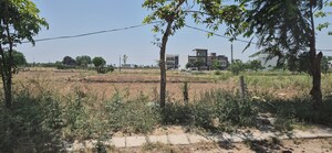 Plot Area in  Plot at Mullanpur – for Sale