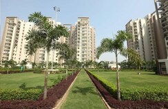 3 BHK Apartment For Rent in Bliss Orra