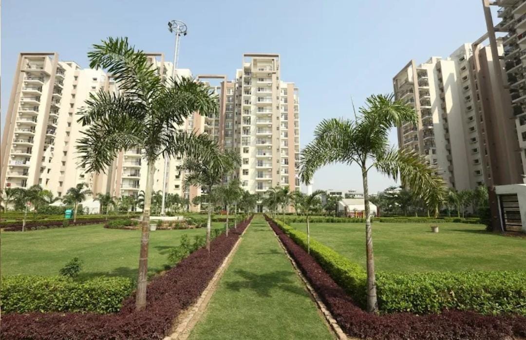 3 BHK Apartment For Rent in Bliss Orra