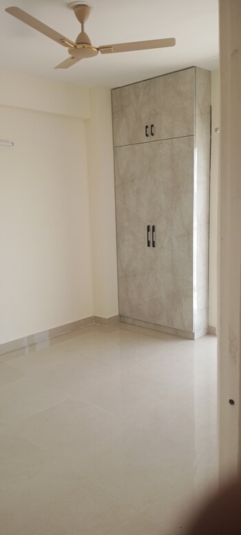 GLS Avenue 81