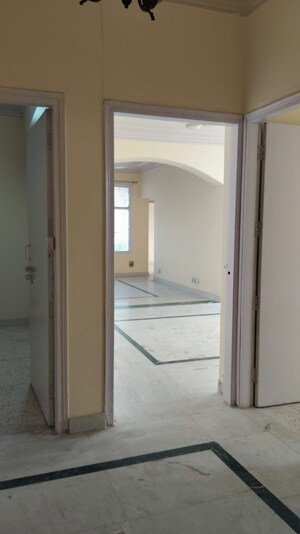  3.5 BHK Apartment at Sector 50 – for Rent