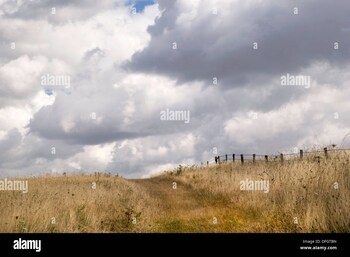 Plot for Sale in Indore Gpo, Indore