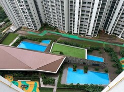 1 BHK + Pooja Room Apartment For Sale in Kalpataru Immensa
