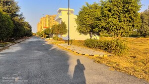  Plot – Exterior View View at Sector 19 - for Sale