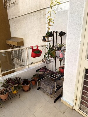Balcony in 2 BHK Apartment at Sonesta, Wakad – for Rent