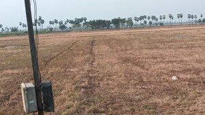 Plot Area in  Plot at Machavaram – for Sale