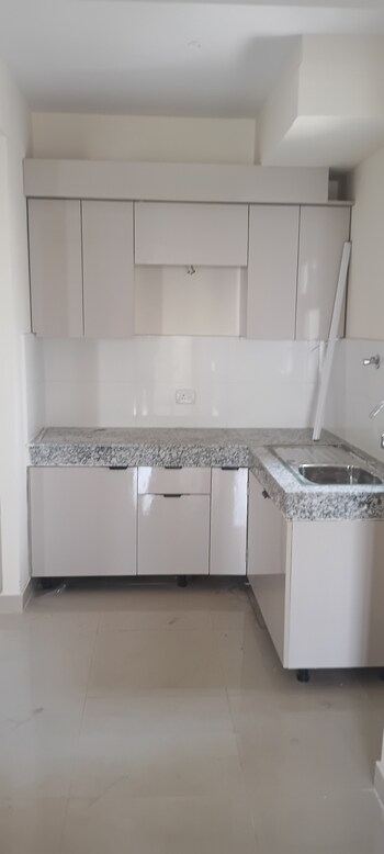 GLS Avenue 81