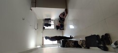 2 BHK Apartment For Rent in Prithvi Proximus